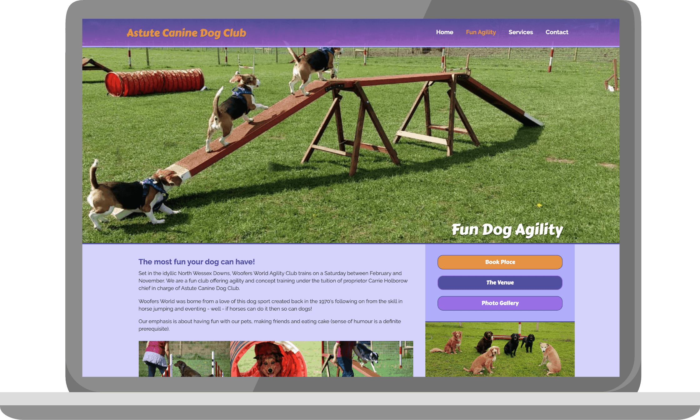 Astute canine dog club - Fun Agility page