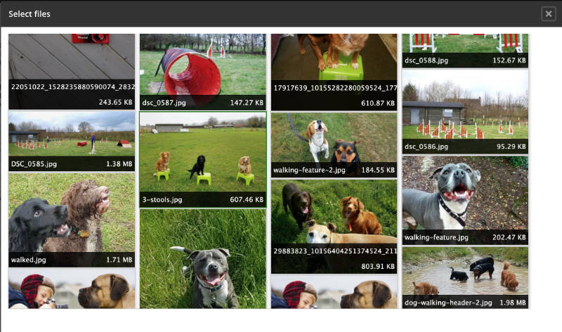 The image library of a Drupal CMS system, where reusable site images can be located.
